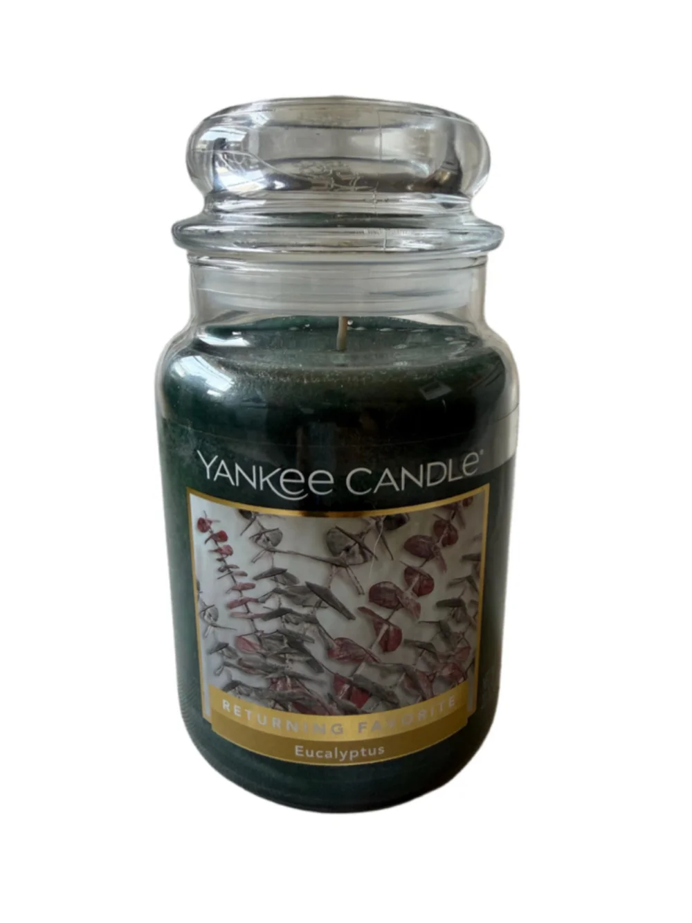NEW Yankee Candle EUCALYPTUS Large Jar 22oz Retired - Discontinued